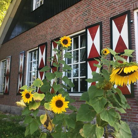 אנסחדה Erve Het Roolvink Boerderij Appartementen 40-50 M2 מראה חיצוני תמונה