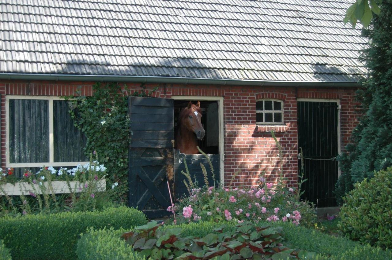 אנסחדה Erve Het Roolvink Boerderij Appartementen 40-50 M2 מראה חיצוני תמונה