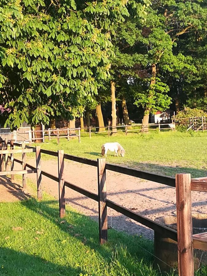 אנסחדה Erve Het Roolvink Boerderij Appartementen 40-50 M2 מראה חיצוני תמונה