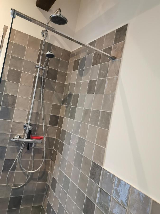 אנסחדה Erve Het Roolvink Boerderij Appartementen 40-50 M2 מראה חיצוני תמונה