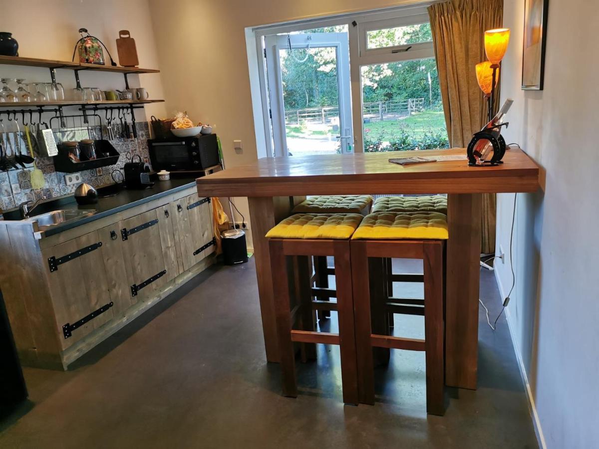 אנסחדה Erve Het Roolvink Boerderij Appartementen 40-50 M2 מראה חיצוני תמונה