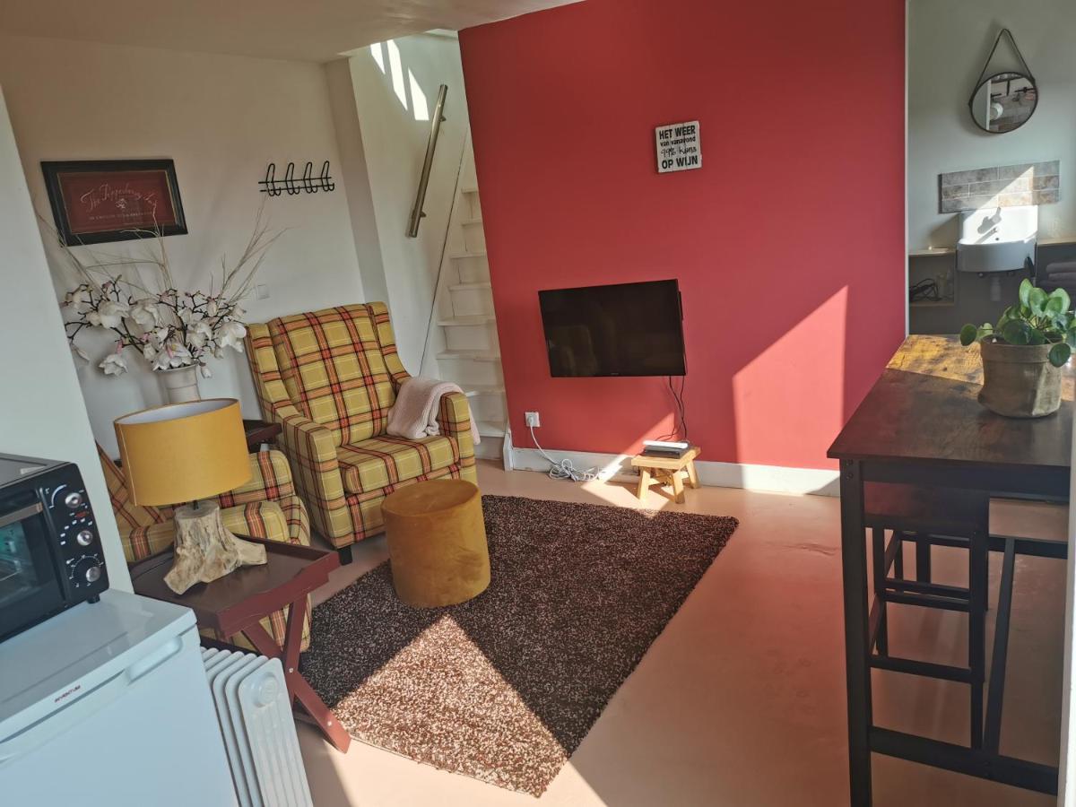 אנסחדה Erve Het Roolvink Boerderij Appartementen 40-50 M2 מראה חיצוני תמונה