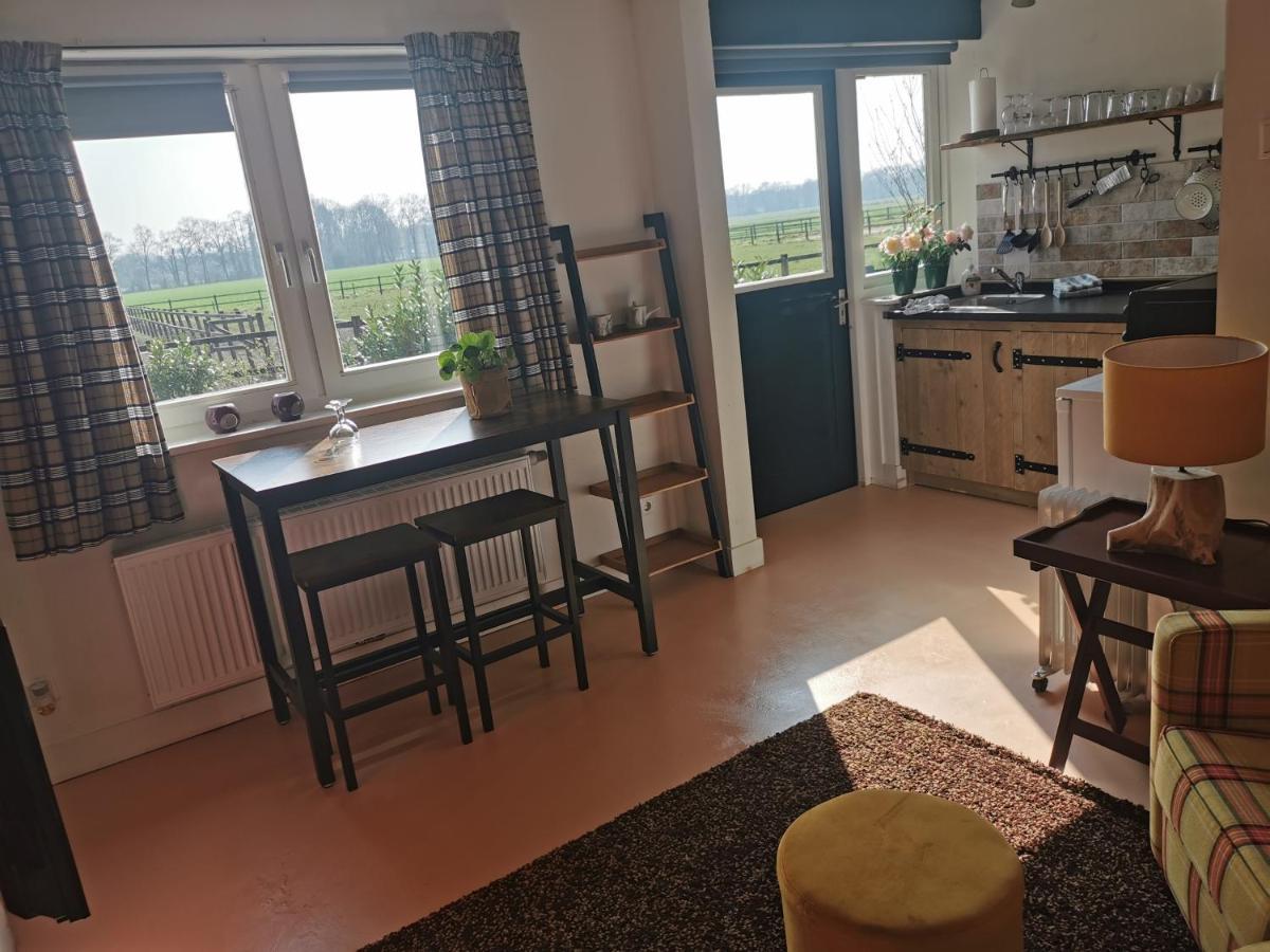 אנסחדה Erve Het Roolvink Boerderij Appartementen 40-50 M2 מראה חיצוני תמונה