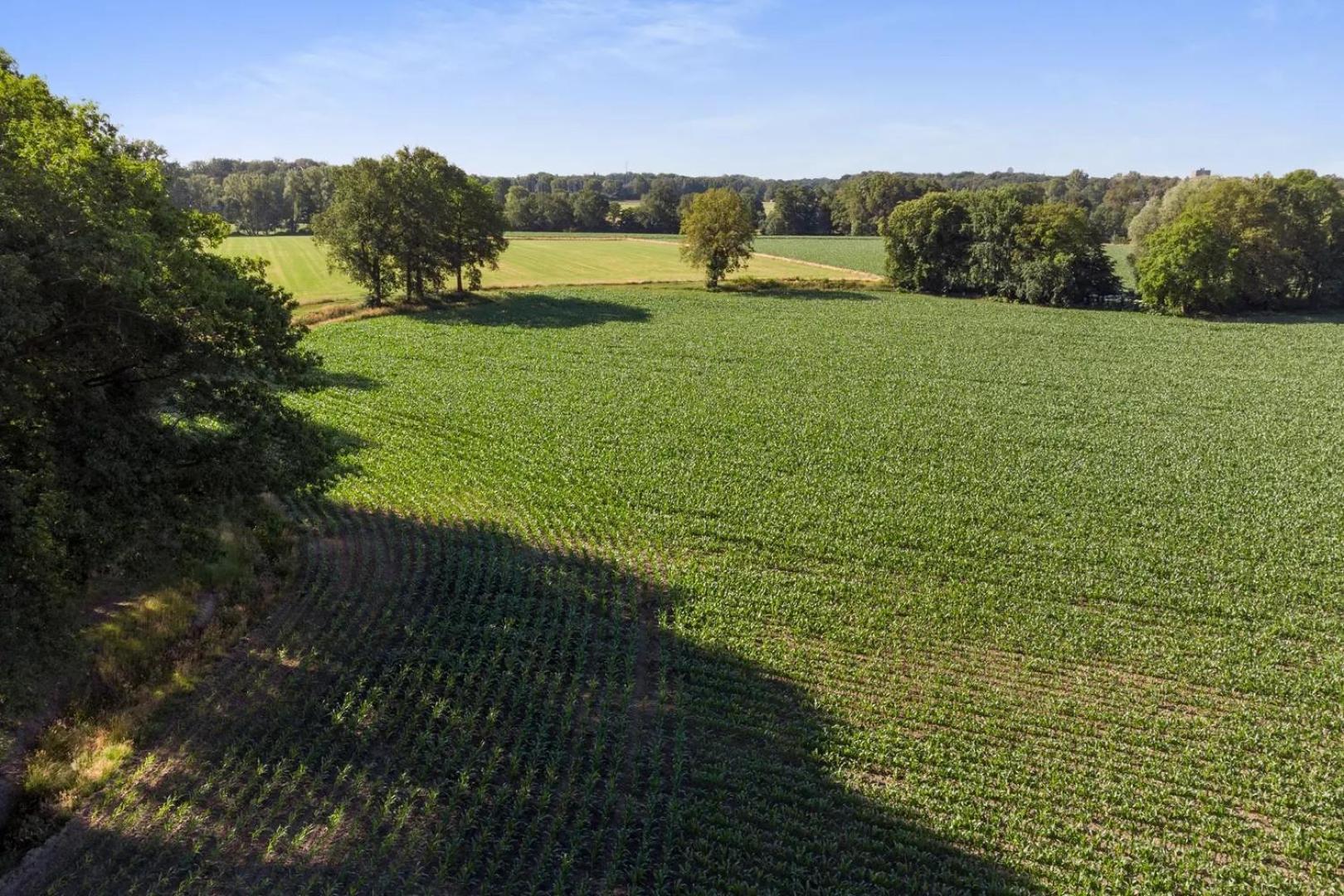 אנסחדה Erve Het Roolvink Boerderij Appartementen 40-50 M2 מראה חיצוני תמונה