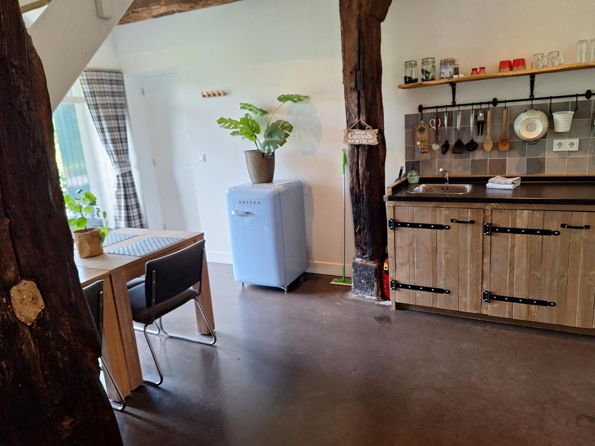 אנסחדה Erve Het Roolvink Boerderij Appartementen 40-50 M2 מראה חיצוני תמונה